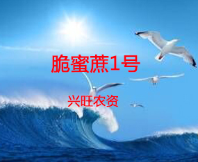 �i���d���r(n��ng)�Y���޹�˾