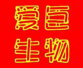 �����۳�����Ƽ����޹�˾