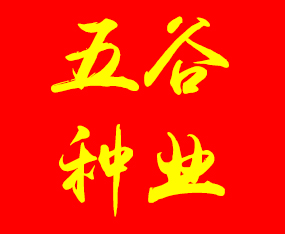 ������ȷN�I(y��)���޹�˾