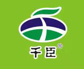 ����ʡǧ������Ƽ�����؟(z��)�ι�˾����2019ȫ��ֲ����-2019��35��ֲ����Ϣ�������r(n��ng)ˎе���ו�