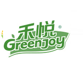 ���Ր�������Ƽ����޹�˾