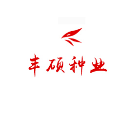 �����S�T�N�I(y��)���޹�˾