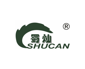 �Ĵ���N��������؟(z��)�ι�˾