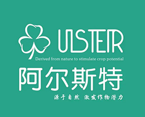 ���{(l��n)����˹��(ɽ�|)����I(y��ng)�B(y��ng)���޹�˾