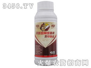 ���S˹�װ������S����