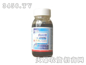 �S��-�߰��S