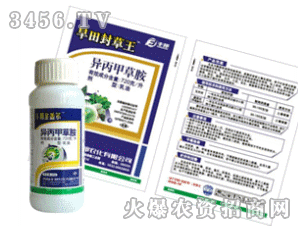 �S��-�����ײݰ�