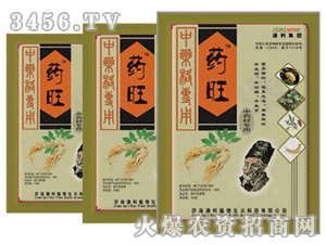 ������ˎ��