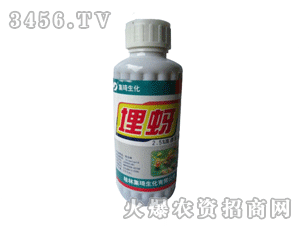 �������x(ch��ng)��