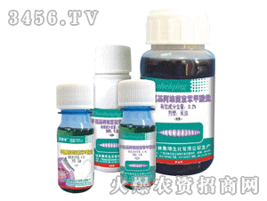 �����׾S�}