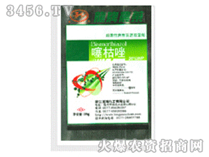 ����-20%�����WP