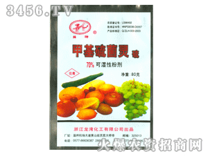 ����-70%�׻�����`-��WP