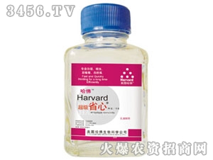 ����(j��)ʡ��