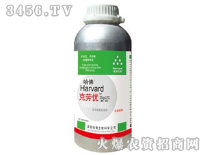 ����˄ڃ�(y��u)