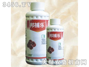 21%��-�R���ͣ����(l��)��