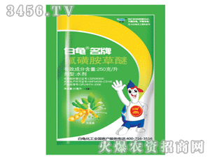 ��������-���ǰ�����