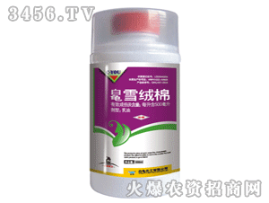 ����ѩ�q��