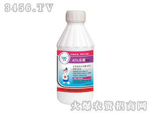 ������(l��)������