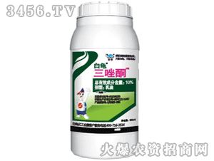 ��������ͪ