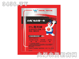 ����?sh��)��x��һ��-5%������