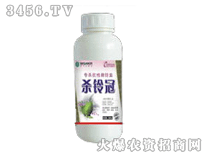 ��ِ��-��⏹�