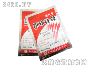 �ϰ��-���S����