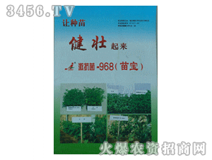 �Ӽ���-������968�猚