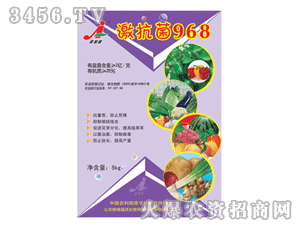 �Ӽ���-�����968