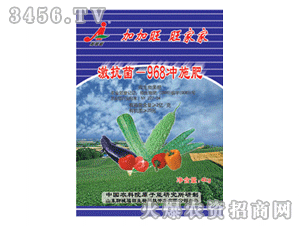 �Ӽ���-������-968�_ʩ��