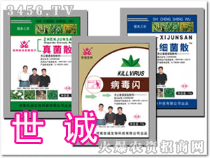 ���\(ch��ng)�����W�����ͷۄ�