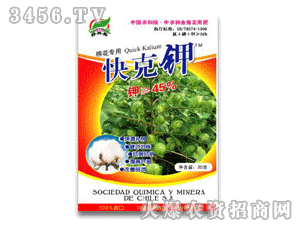 �����I����(20��45%)