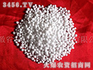 �����I�w�����(15%B)