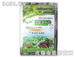 �����I��(15��20%B)