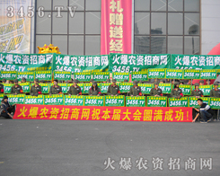 ���ИI(y��)ʢ����������Ӣ��