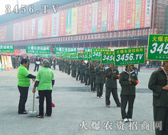 ������~���C���Ĳ����߁���