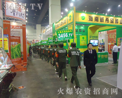 �𱬾W(w��ng)���r(n��ng)�Y�ИI(y��)�W(w��ng)�j���̵����E