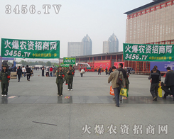 �����������˶�ɢ�l(f��)����â