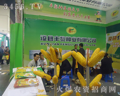 ���h�S��N�I(y��)���޹�˾