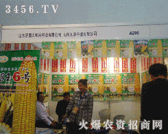 ��(j��)������d�N�I(y��)���޹�˾