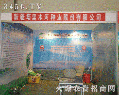 �½�����ľ�ӷN�I(y��)�ɷ����޹�˾