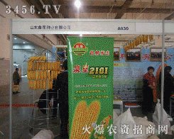 ɽ�|�������ǷN�I(y��)���޹�˾