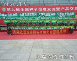 ��(chu��ng)���ǻ𱬾W(w��ng)������ǰ�l(f��)չ���Ƅ�(d��ng)��