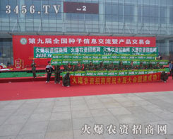 ����꠵��������һ�Z��ը