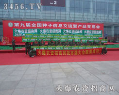 ������(n��i)���˚ⱬ����һƬ��ɽ�˺��ğ��[����