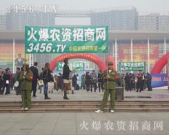 �ڕ����ό��M���ĸɄŰl(f��)�]������M�£�