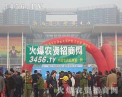 ���˱������Գֵ��׵ĸɄź�����