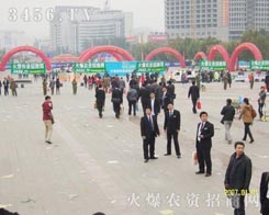 ���˵������������찲�ŵ�