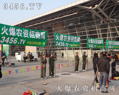 �����(du��)�Z�Z���ҵ�Ͷ�����Ϸ��r(n��ng)�Y��(hu��)��