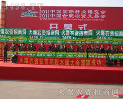 ����Ӣ����������