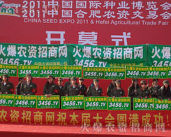 �ɹ������E�����Єӣ����˾߂���Є���